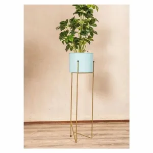 Adore Iron planter with golden stand