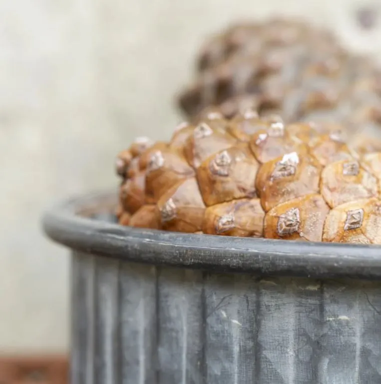 Antiqued Zinc Small Shallow Round Planters - Two Sizes