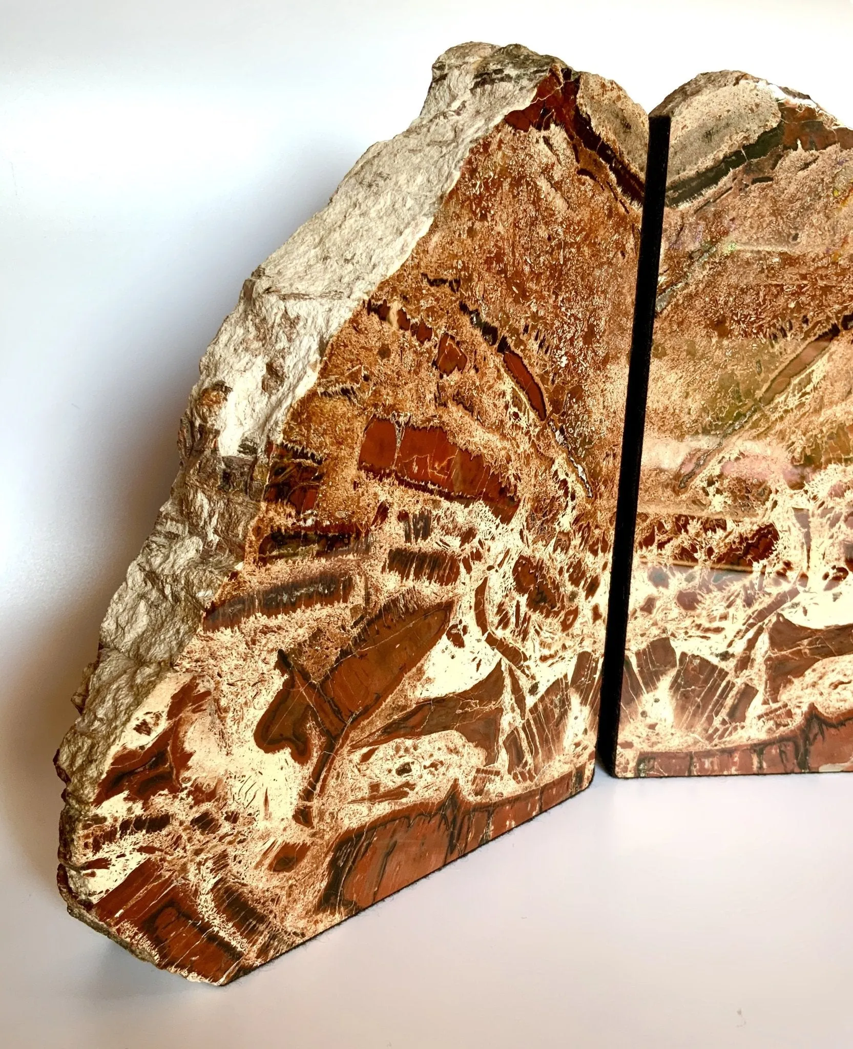 Artistic Red Conifer Petrified Wood Bookends