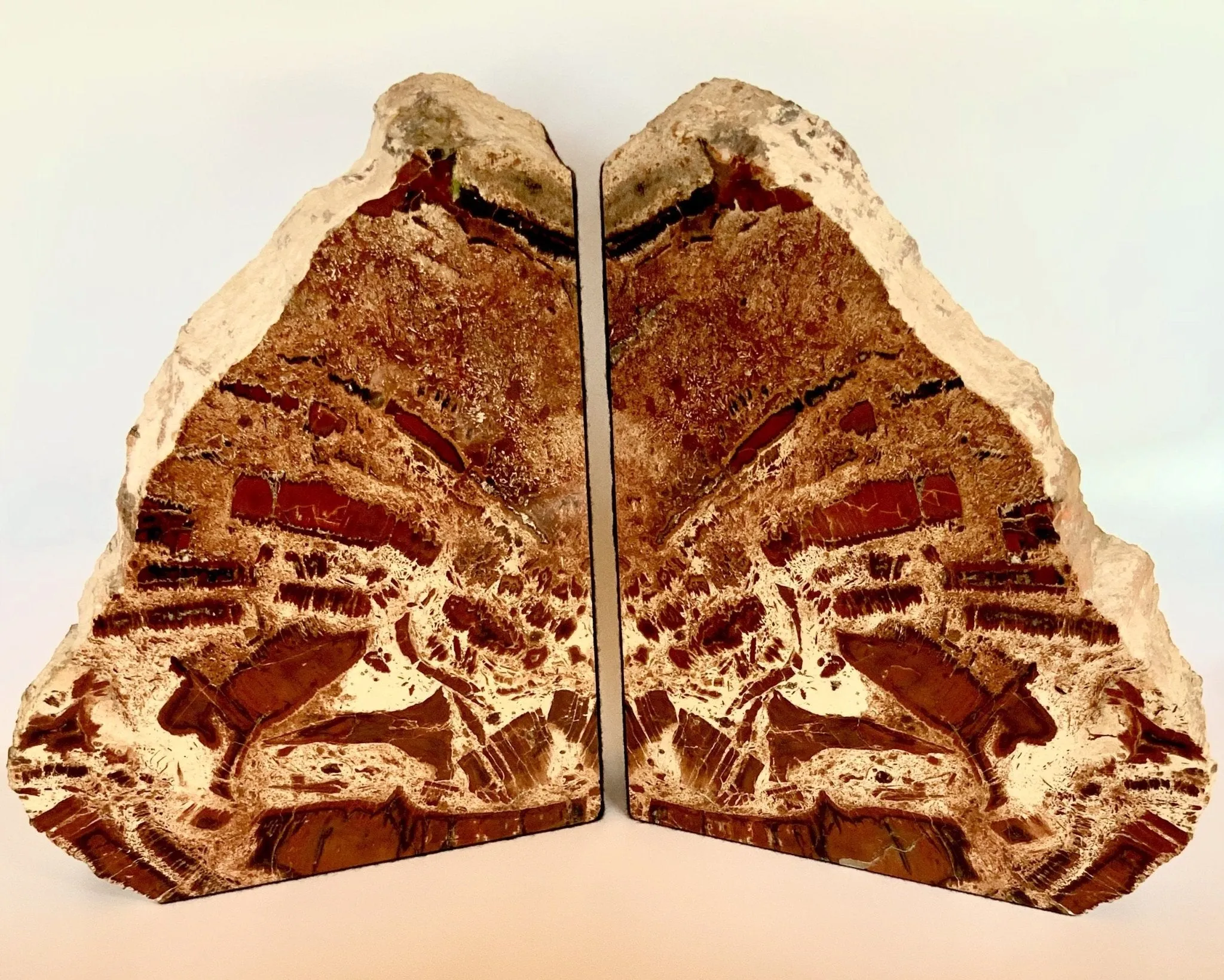 Artistic Red Conifer Petrified Wood Bookends