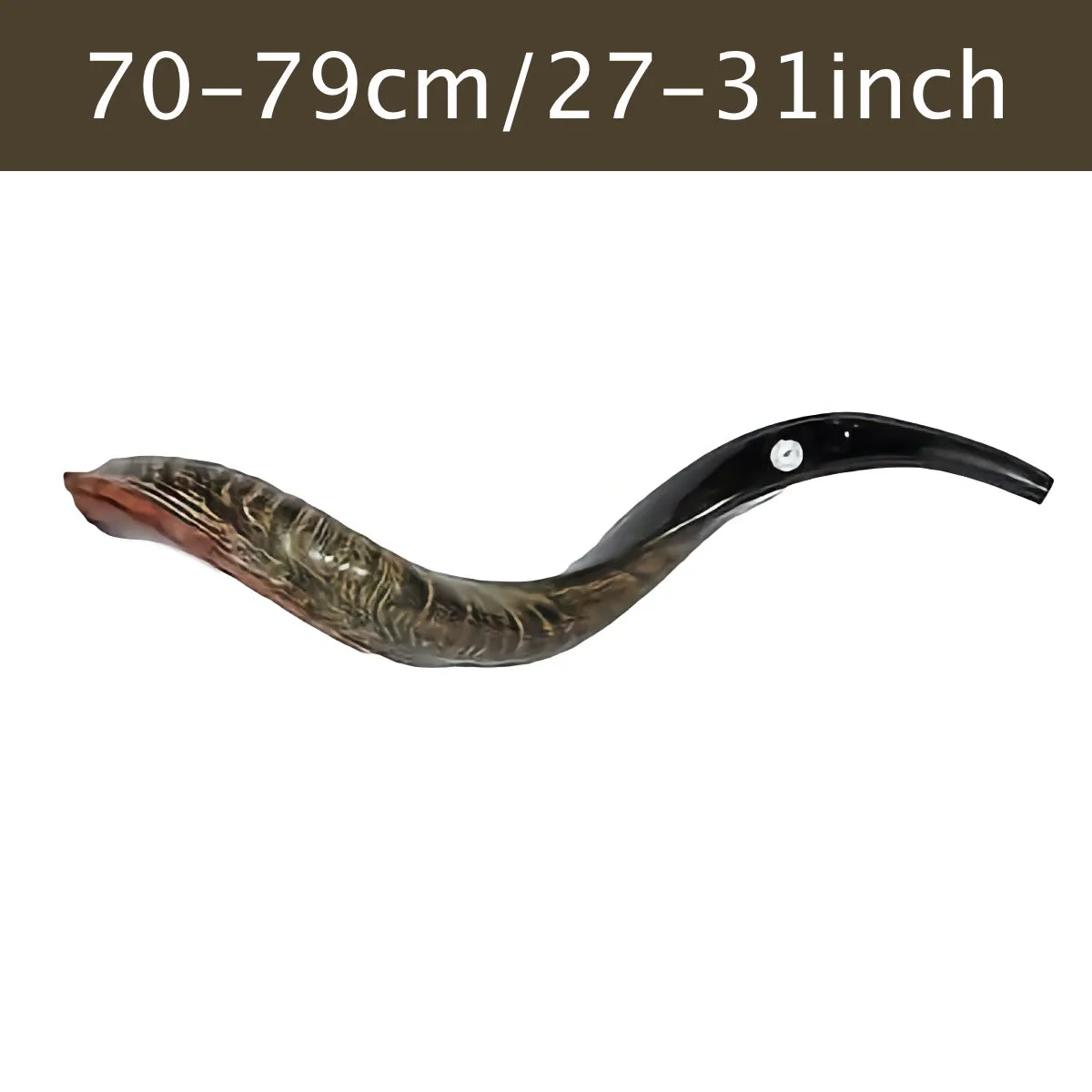 Authentic Yemenite Kosher Shofar 27-31 / 70 cm - 79 cm