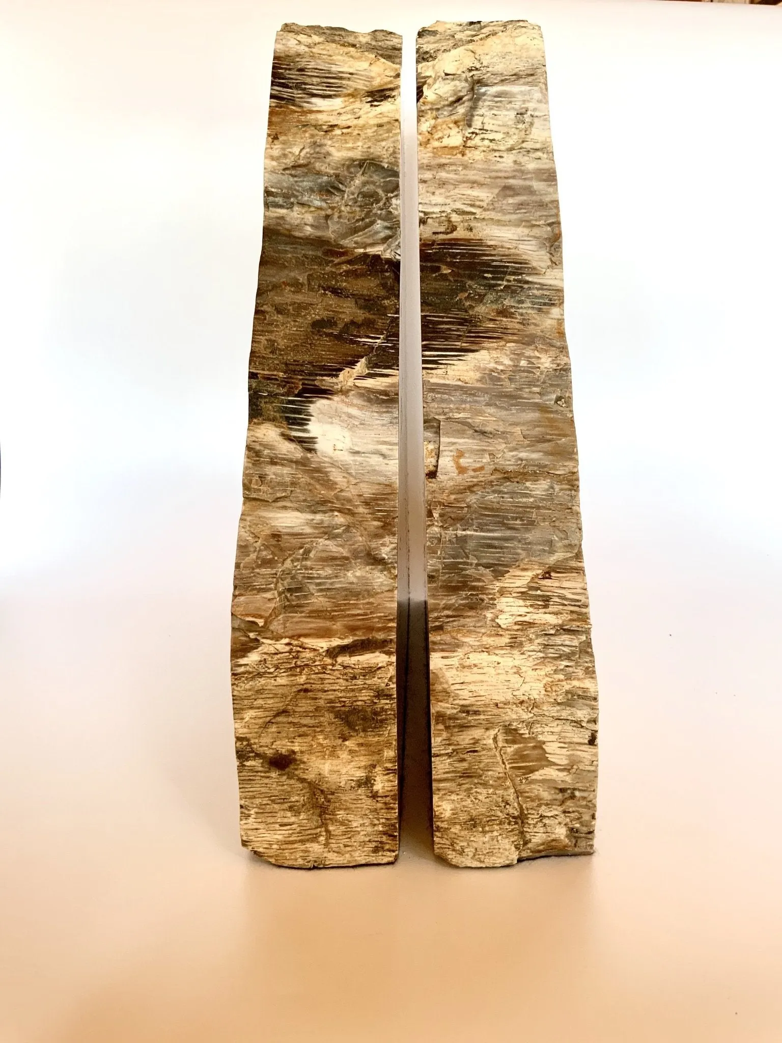 Extra Large Deschutes Oak Bookends| Petrified Wood Slice