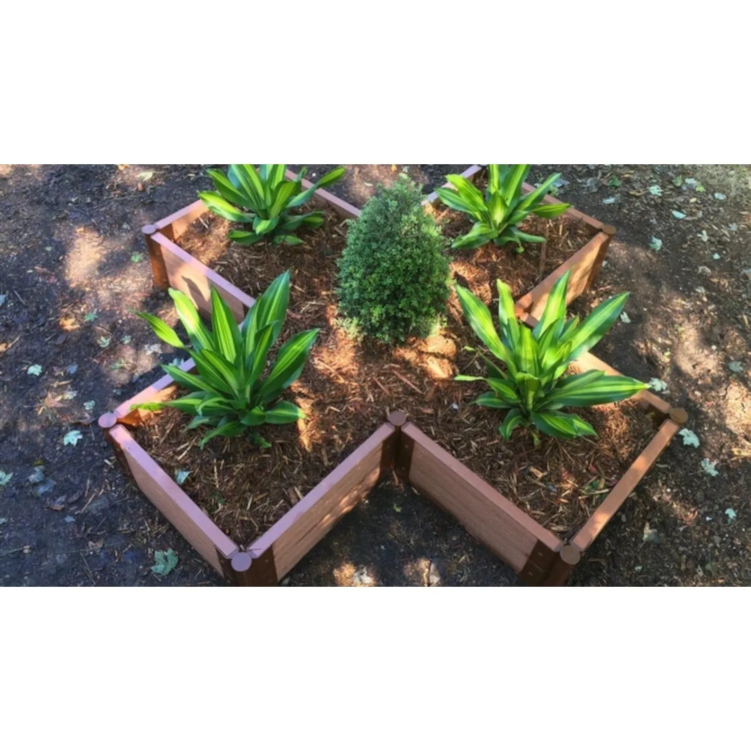 Frame It All | Tool-Free Military Medallion Raised Garden Bed (Kit Cross) 6' X 6' X 22" - Weathered Wood - 1" Profile