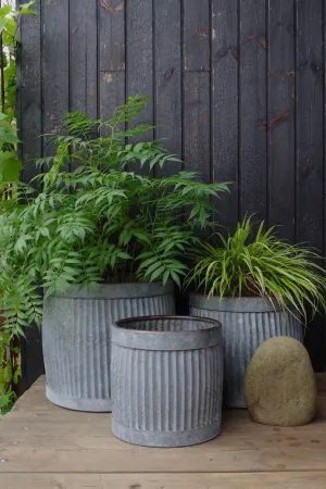 Galvanised Dolly Tub Planters - Set of 3