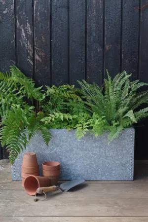 Galvanised Water Tank Trough Planter