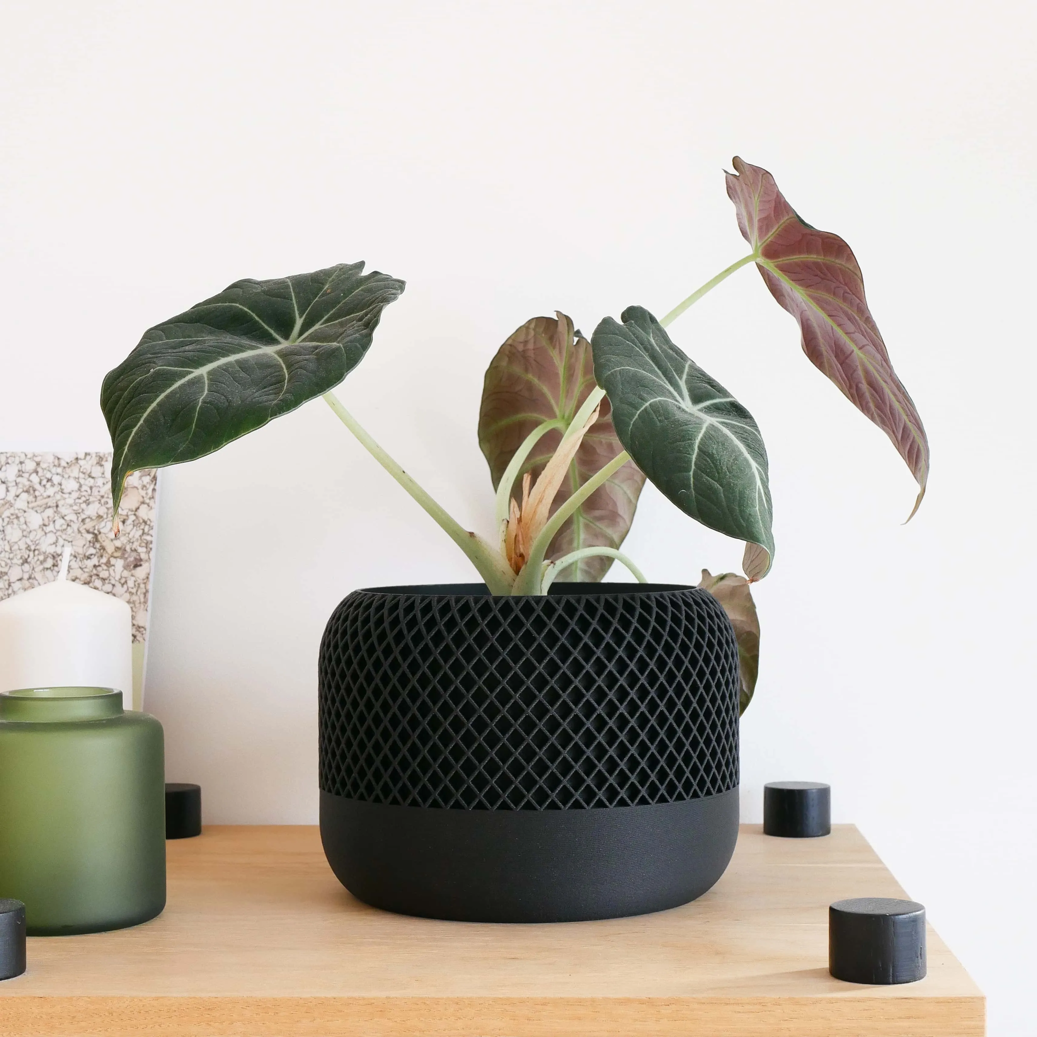 Indoor plant pot - Minimalist and textured design - APPLE