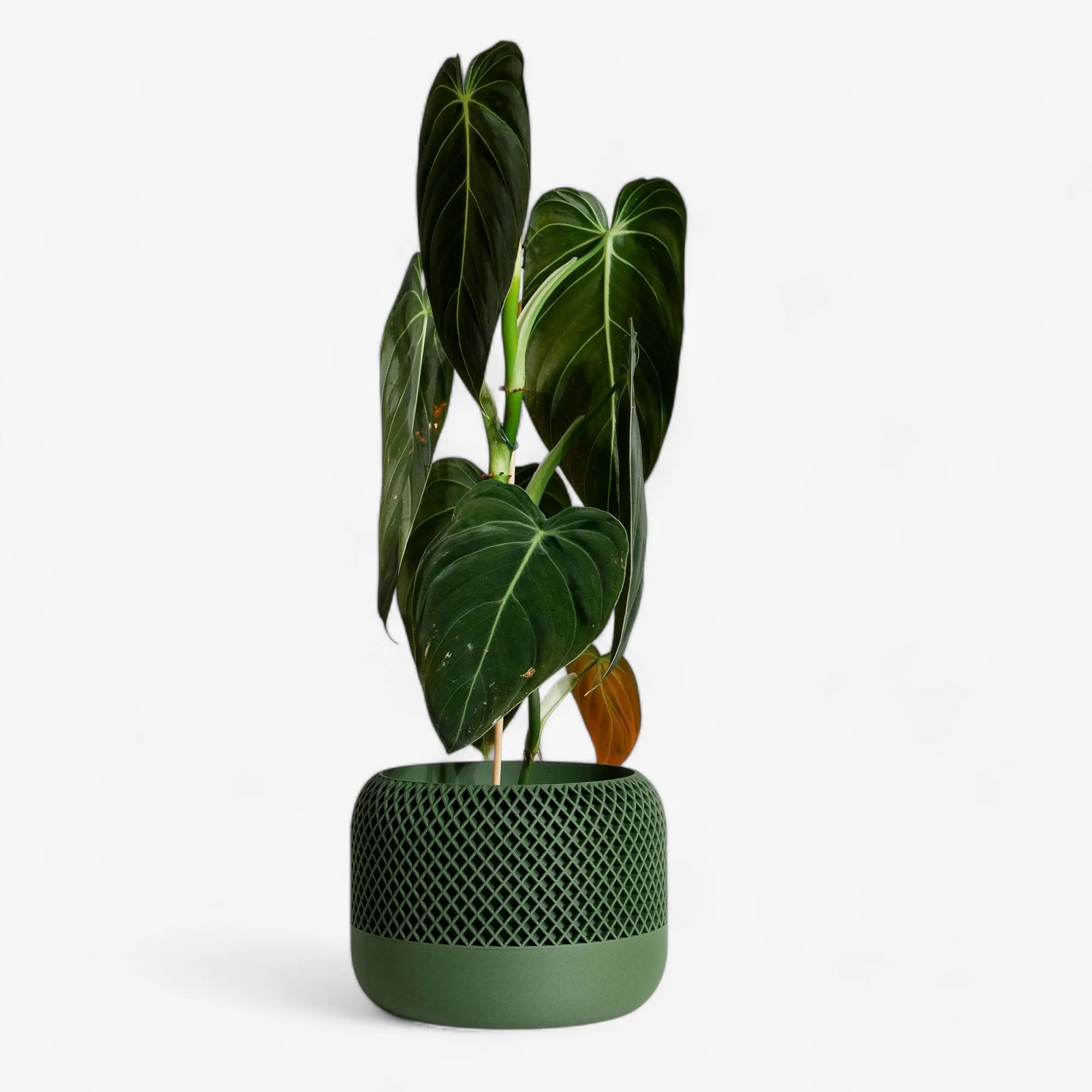 Indoor plant pot - Minimalist and textured design - APPLE