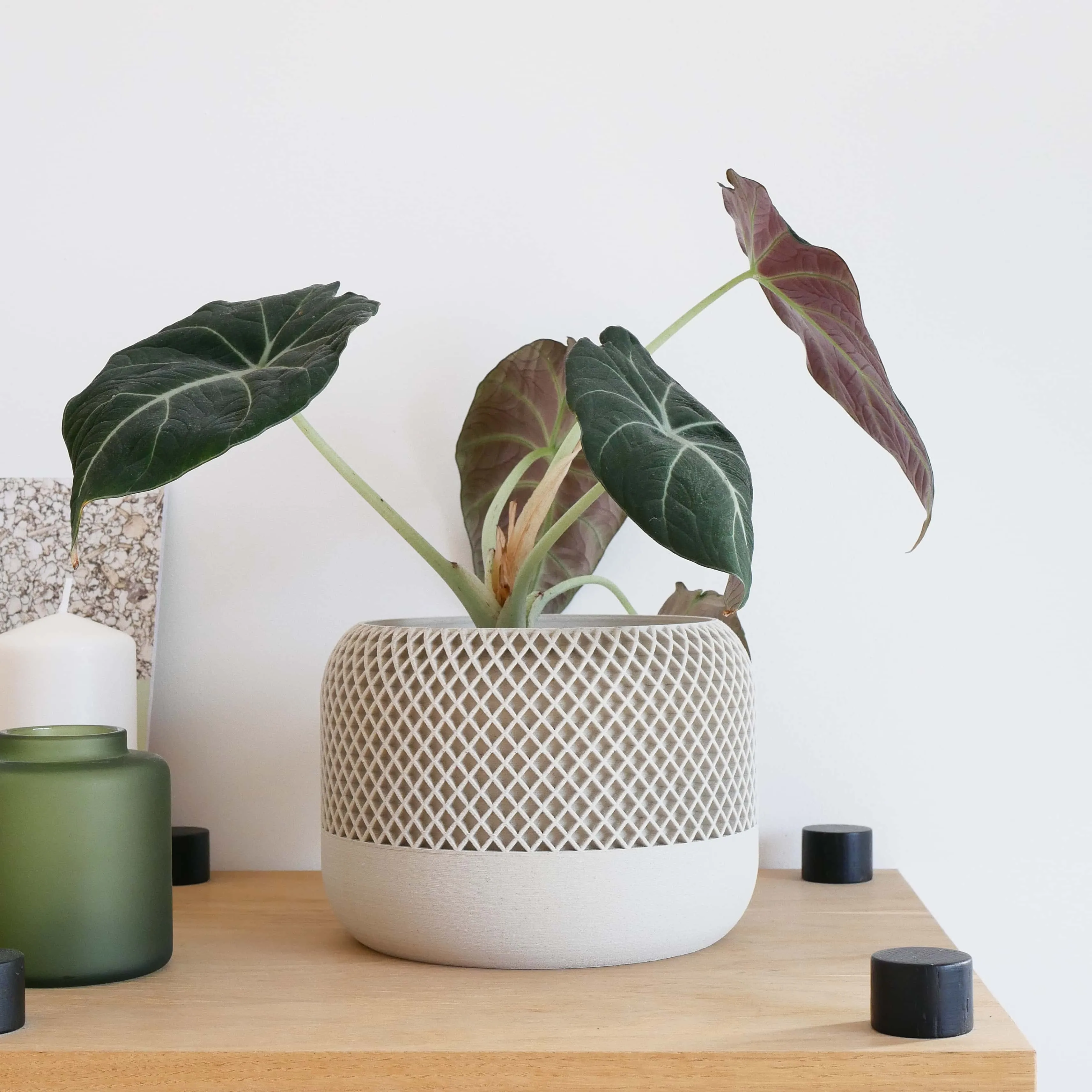 Indoor plant pot - Minimalist and textured design - APPLE