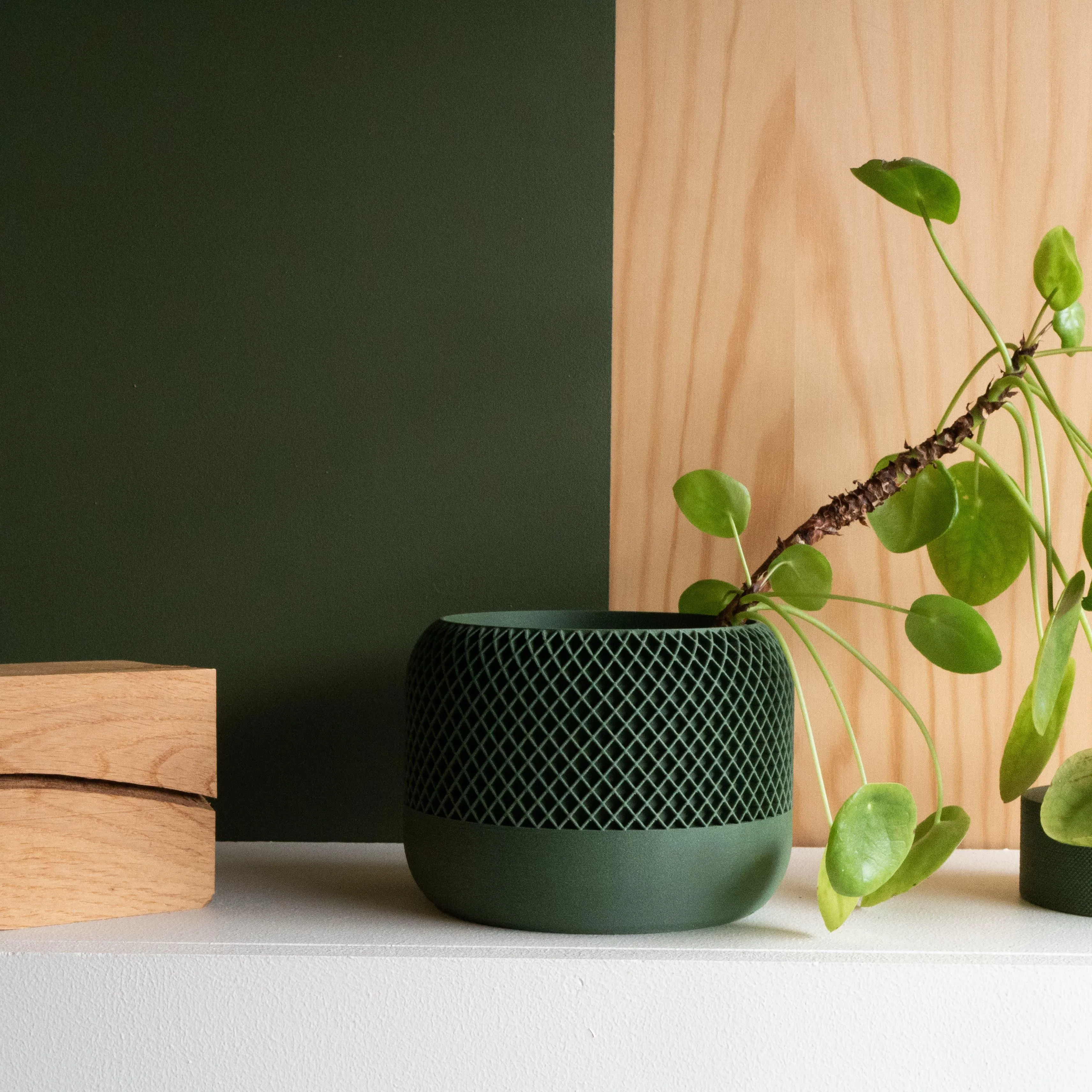 Indoor plant pot - Minimalist and textured design - APPLE