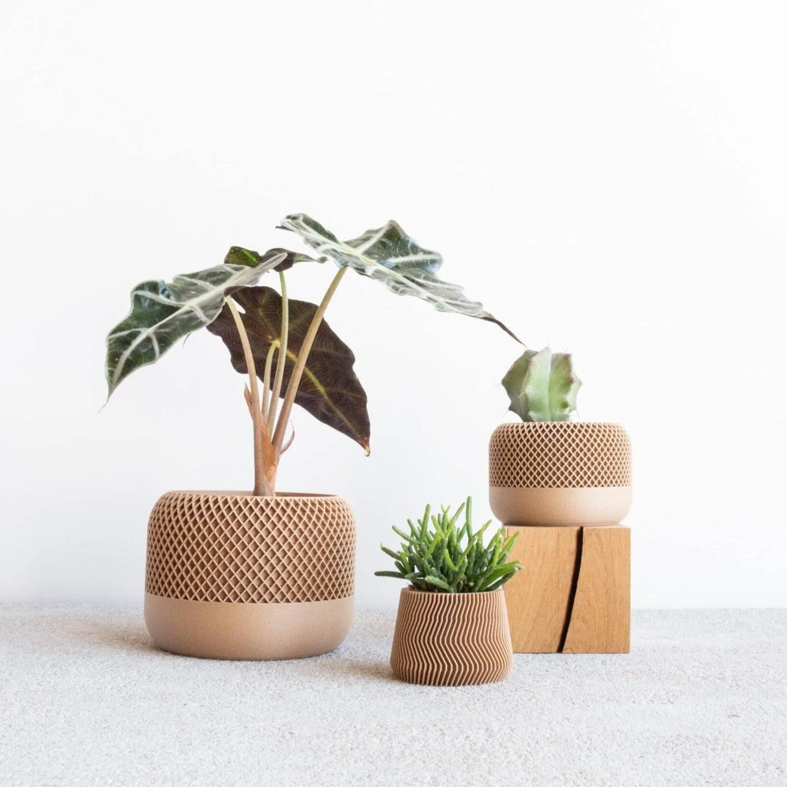 Indoor plant pot - Minimalist and textured design - APPLE