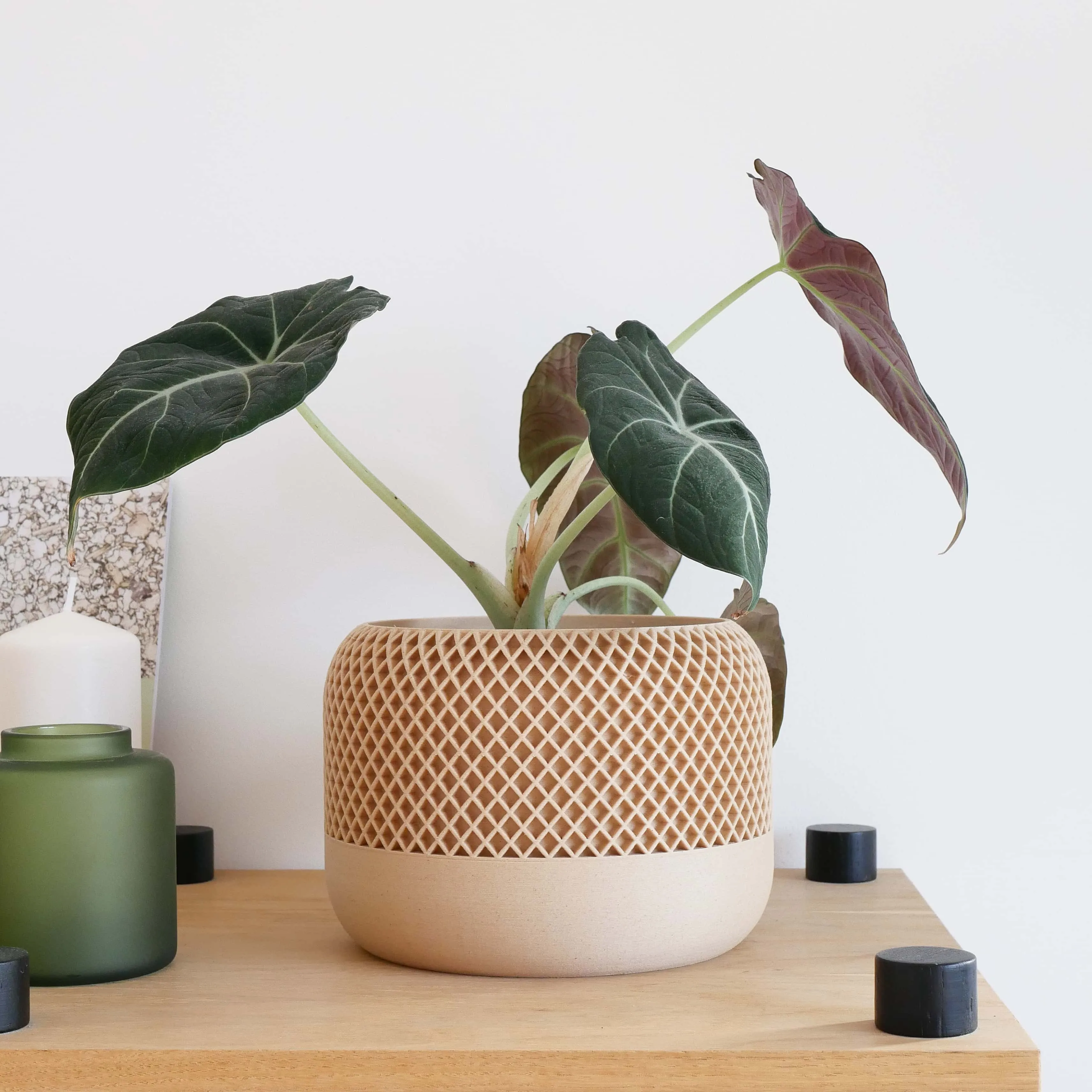 Indoor plant pot - Minimalist and textured design - APPLE