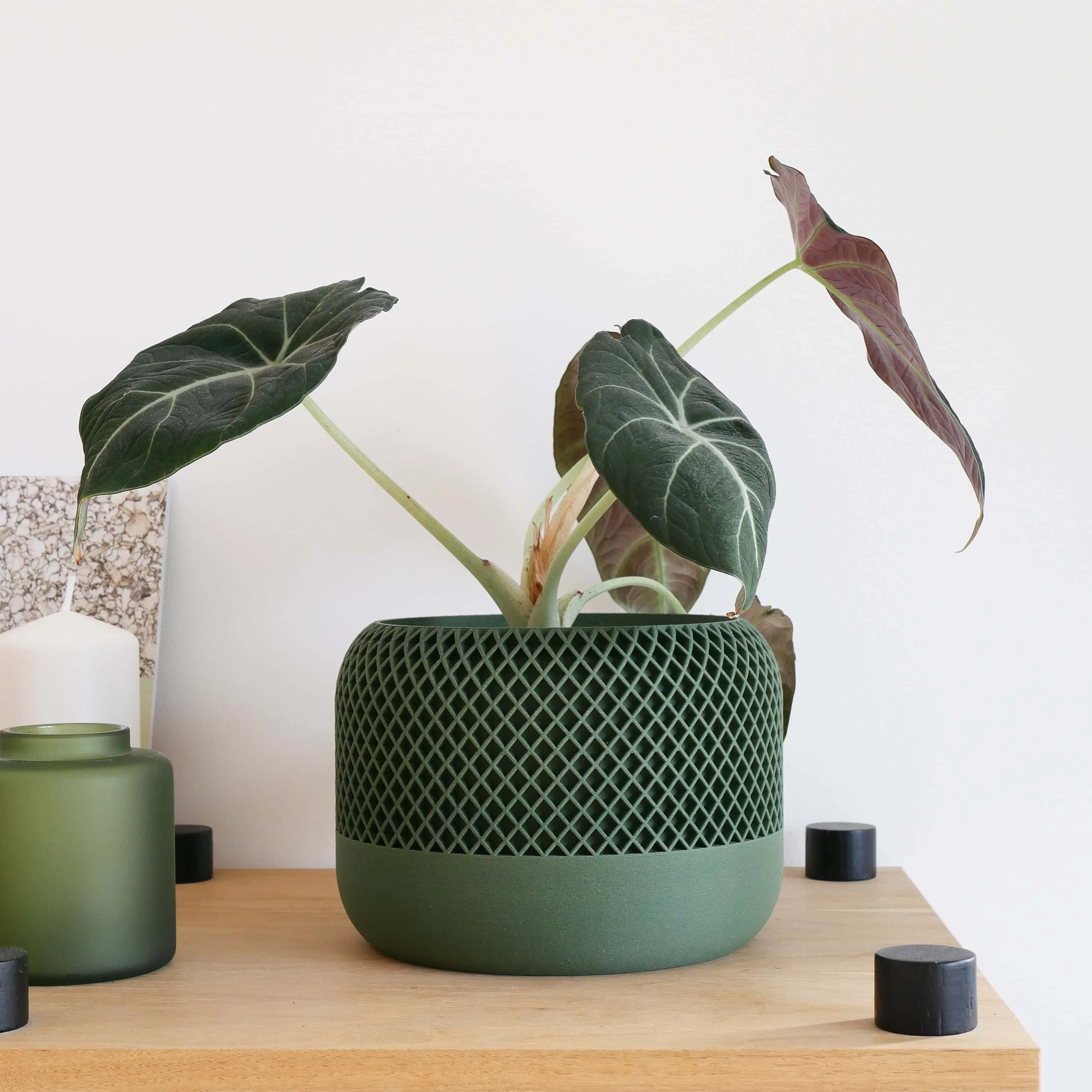 Indoor plant pot - Minimalist and textured design - APPLE