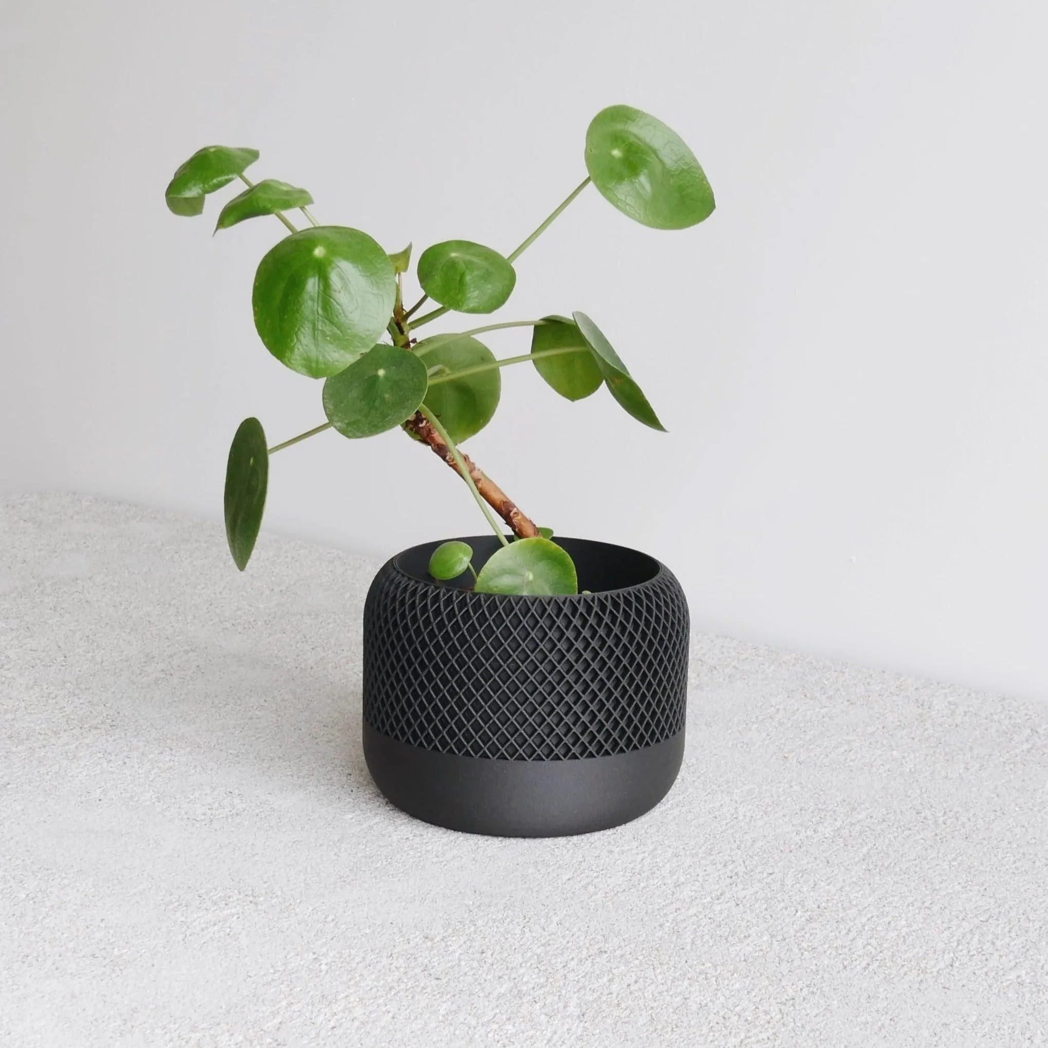 Indoor plant pot - Minimalist and textured design - APPLE