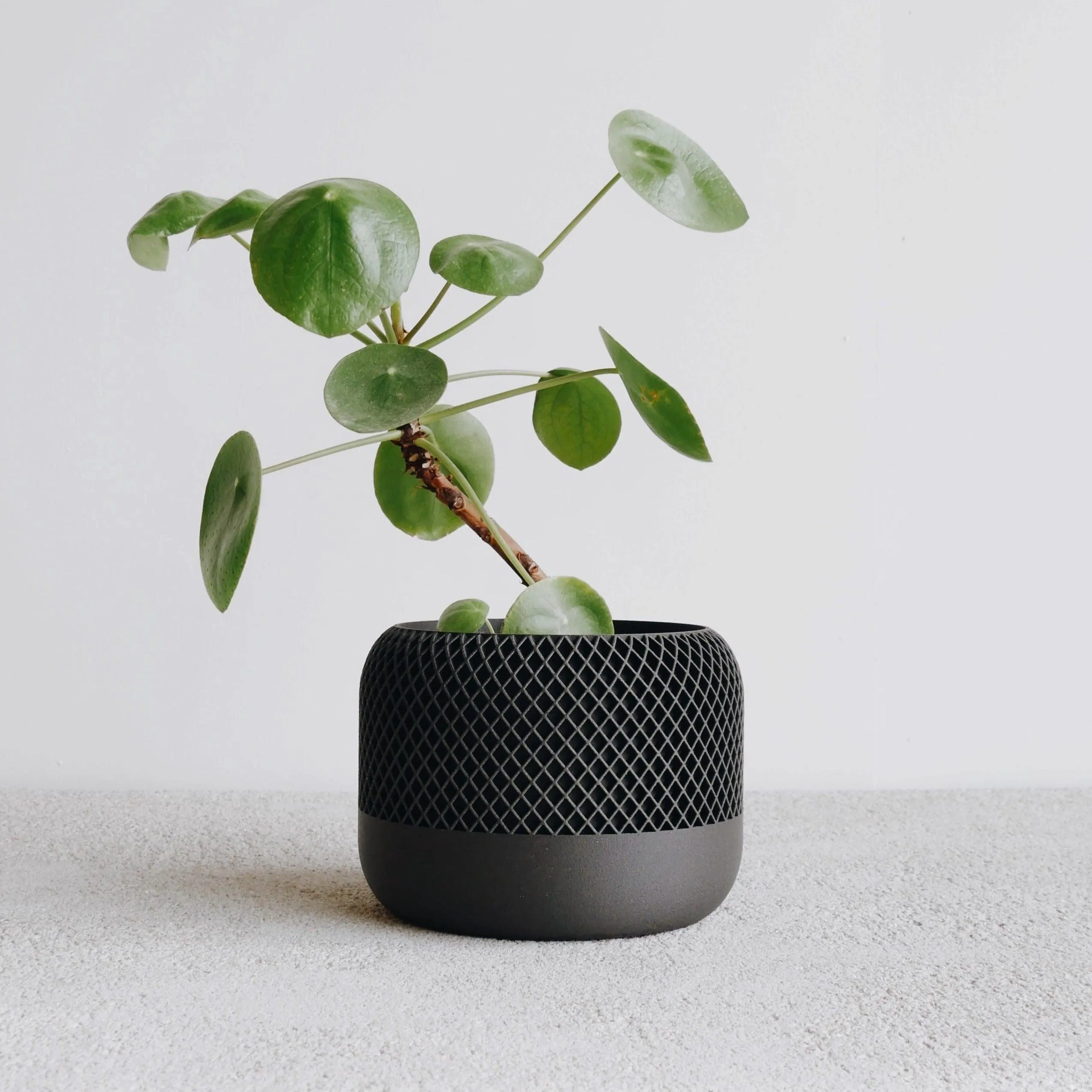 Indoor plant pot - Minimalist and textured design - APPLE