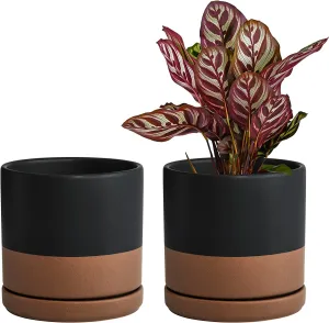 Jet Setter Ceramic Planter Duo (Set of 2) - 6 inch