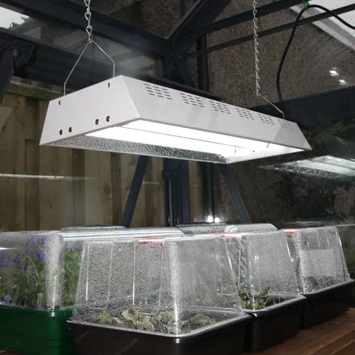 Maxibright Propagation Lights