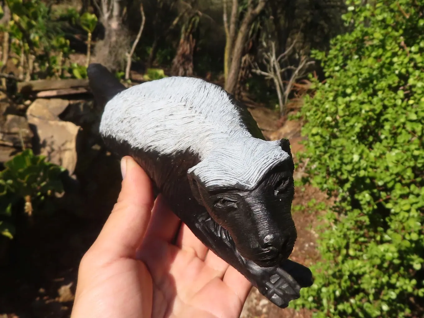 Polished  Large Black Soapstone Honey Badger Carving x 1 From Zimbabwe