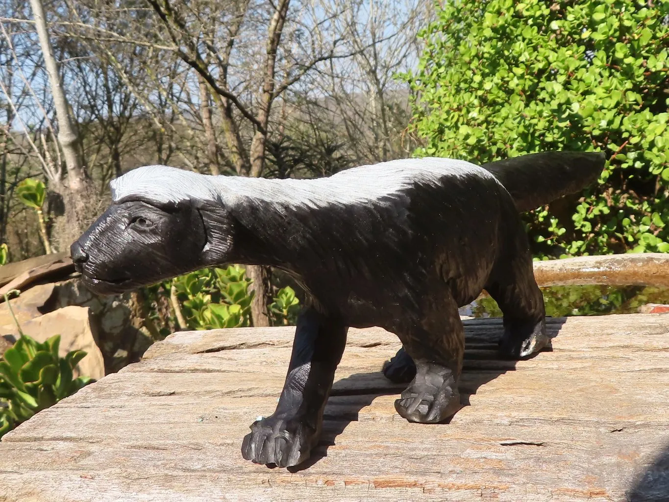 Polished  Large Black Soapstone Honey Badger Carving x 1 From Zimbabwe