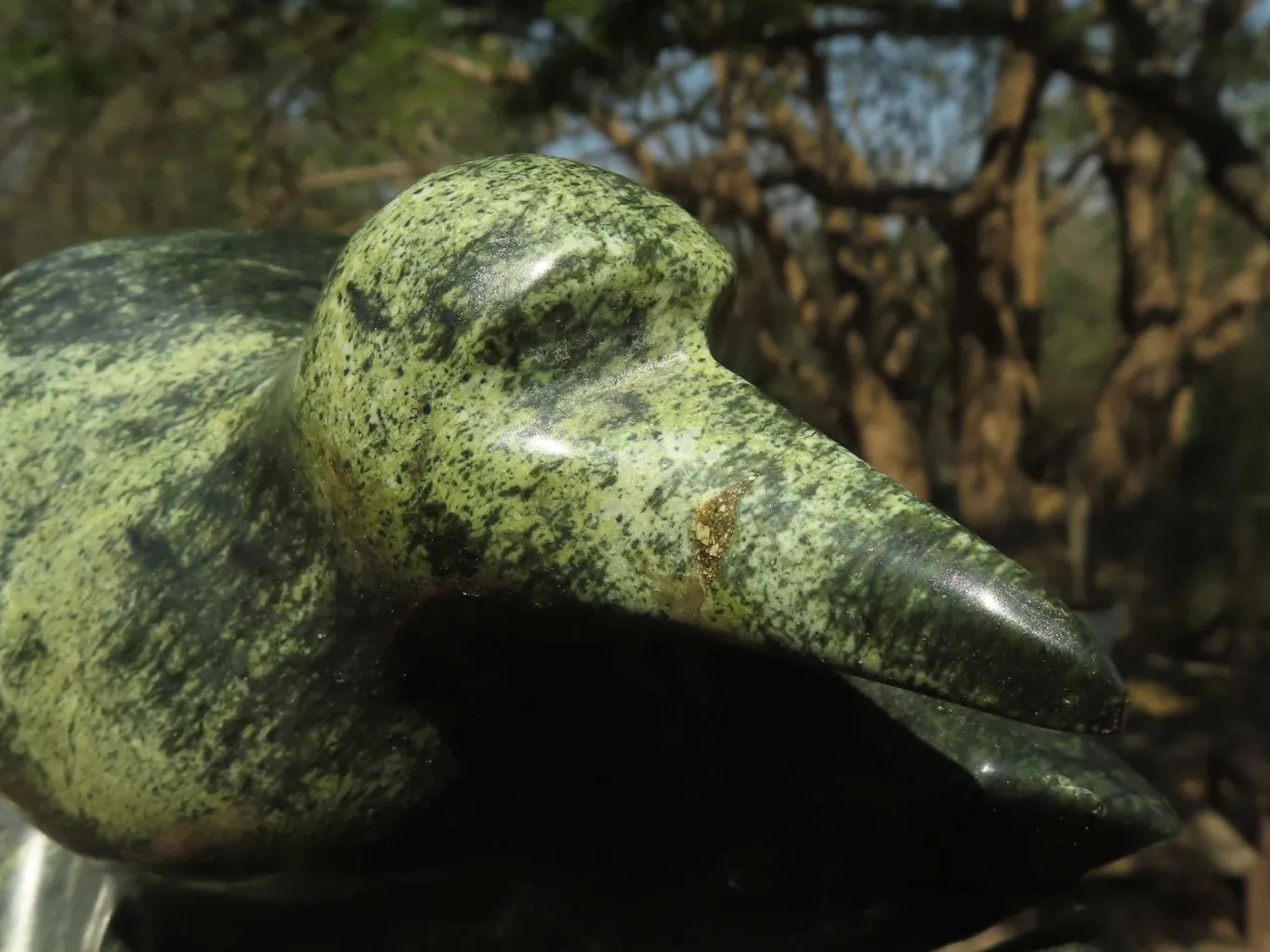 Polished Large Leopard stone Bird Book End Carvings  x 2 From Zimbabwe