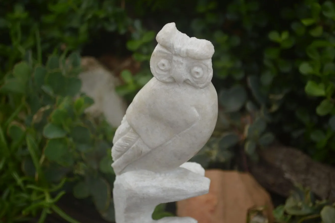 Polished Sparkling White Marble Owl Sculpture x 1 From Zimbabwe