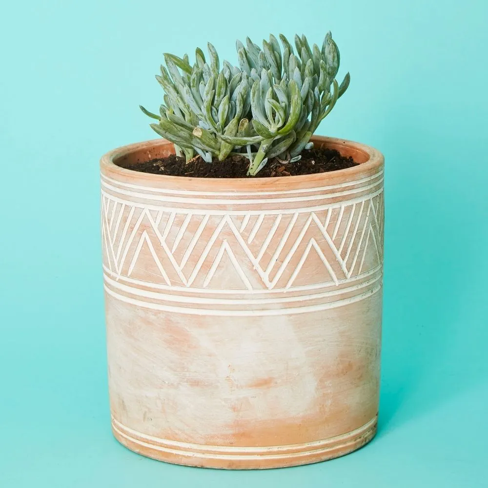 Small Cylindrical Terracotta Pot