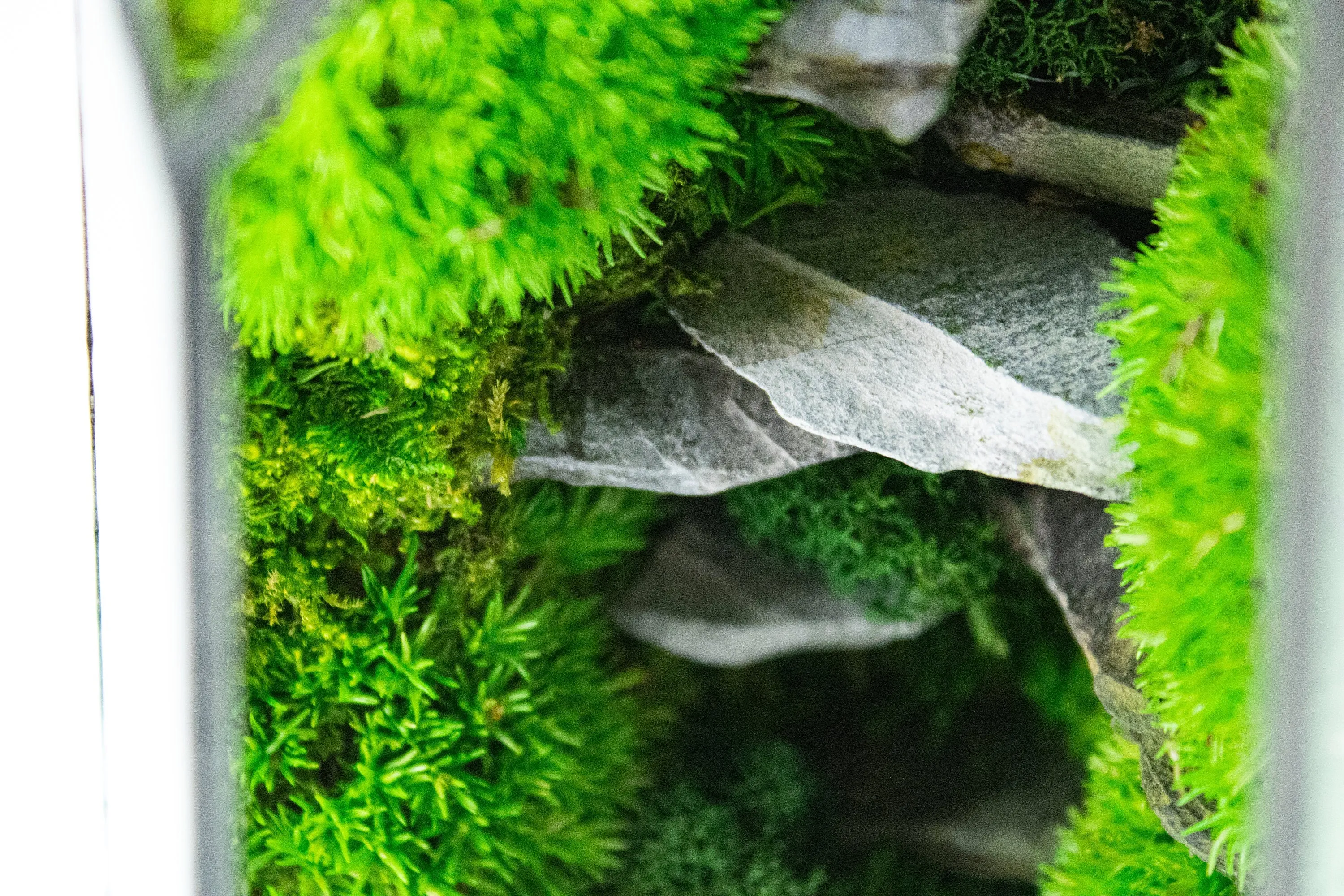 Stone Prism Terrarium with Preserved Moss, Low Maintenance, Ready-Made