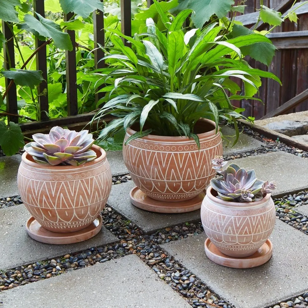 Terracotta Belly Pot Saucer Set