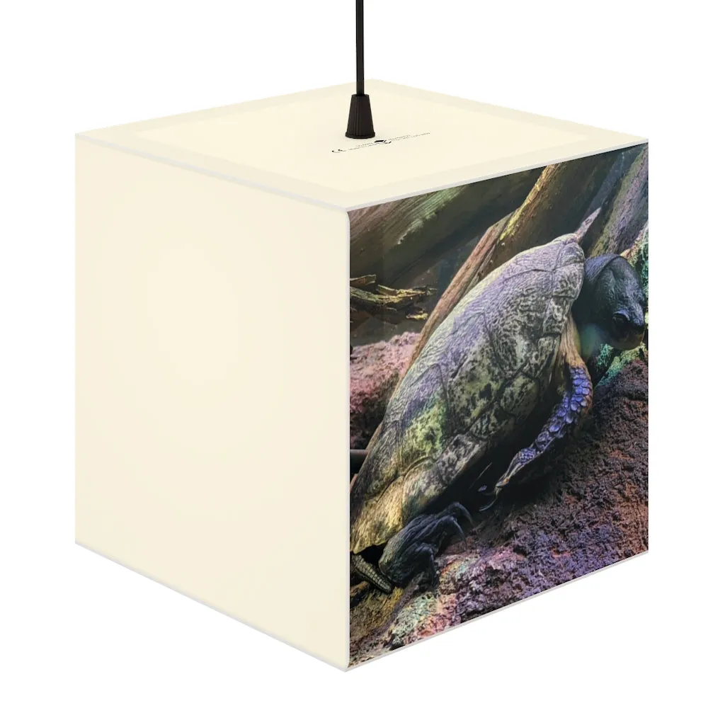 Turtle Personalized Lamp